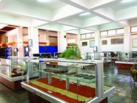 Koyunoğlu Şehir Müzesi ve Kütüphanesi